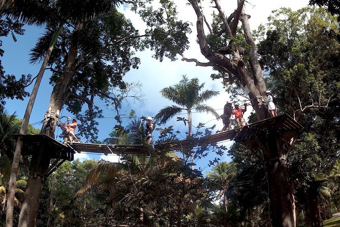 Zip Line over the Dunns River Falls - Time at the terraced waterfall