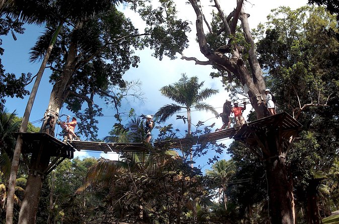 Zip Line over the Dunns River Falls - Why the private format matters