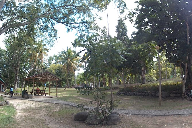 Zip Line over the Dunns River Falls - The guide and driver can shape the experience