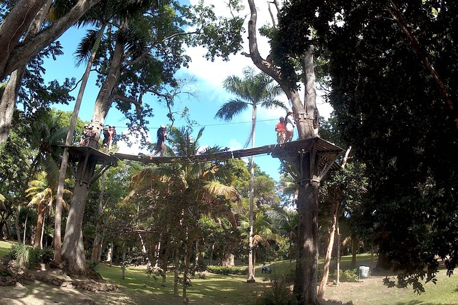 Zip Line over the Dunns River Falls - Practical details that affect your decision