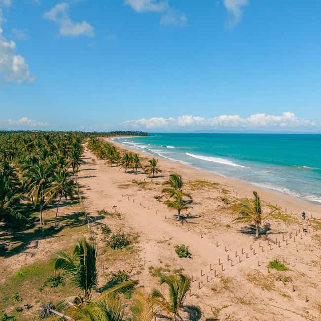 Zip Line Playa Esmeralda With Redonda Mountain - Communication before pickup needs attention