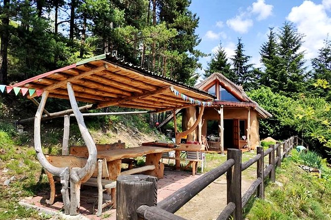 Zip Line & Via Ferrata Experience in the Rhodope Mountains - How Much Value Do You Get for $54.56?