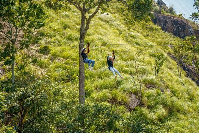 Zip Lining Experience in Ella - Timing, Weather, and Practical Planning