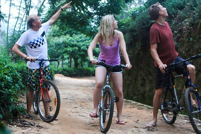 Zip Lining Experience in Ella - How I Would Fit It Into an Ella Day