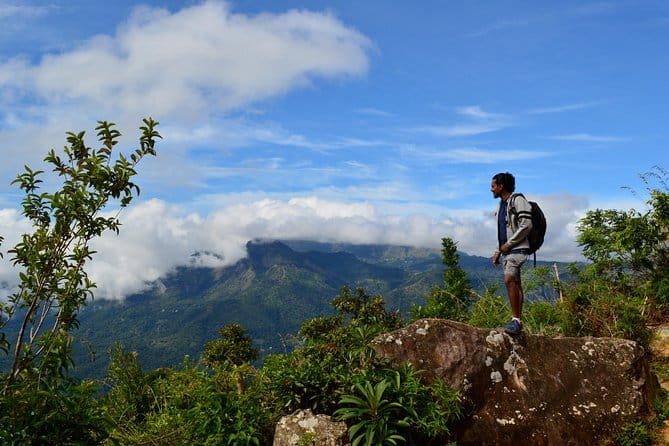Zip Lining Experience in Ella - Should You Book the Ella Zip-Line?