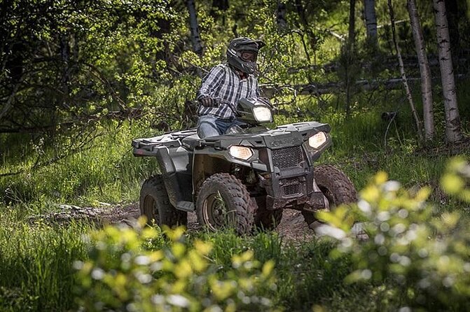 Zip-lining/Horseback Rides/Cat & Atv Inclusive Act with Transpo From Montego Bay - Pickup from Montego Bay keeps the day simple
