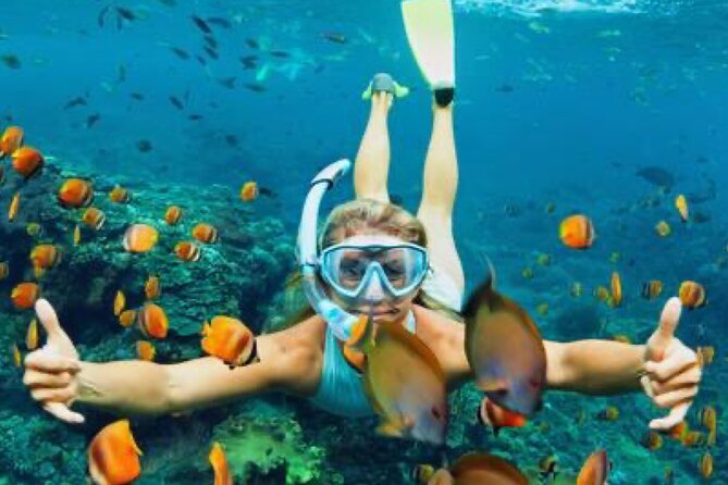 Zip-lining/Horseback Rides/Cat & Atv Inclusive Act with Transpo From Montego Bay - Horseback riding ends in the sea