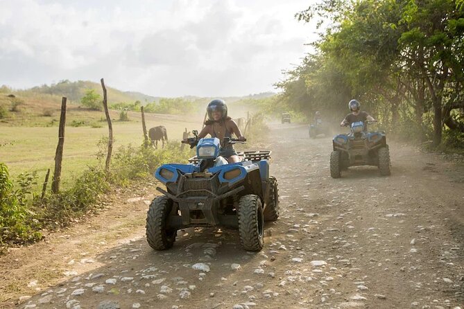 Zip-lining/Horseback Rides/Cat & Atv Inclusive Act with Transpo From Montego Bay - ATV trails bring the most motion