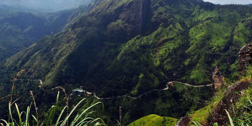 Zip Lining in Ella - Who will enjoy this most