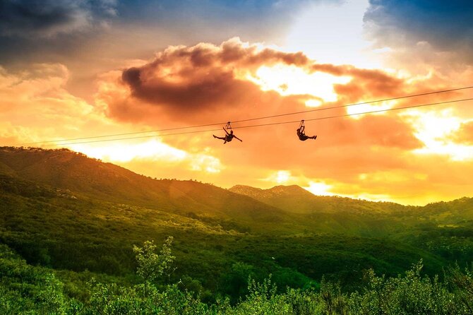 Zip Zoom Ziplines at La Jolla Indian Adventure Park - Oak forests and wide views from the reservation