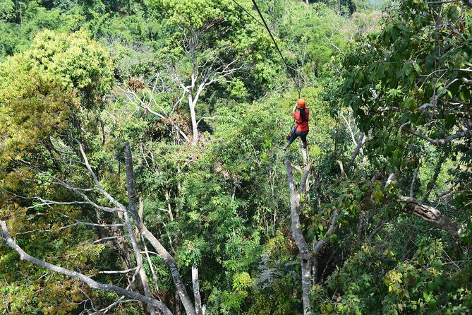 Zipline Adventure at Skyline Jungle Luge Chiang Mai - The five-minute nature walk adds useful context