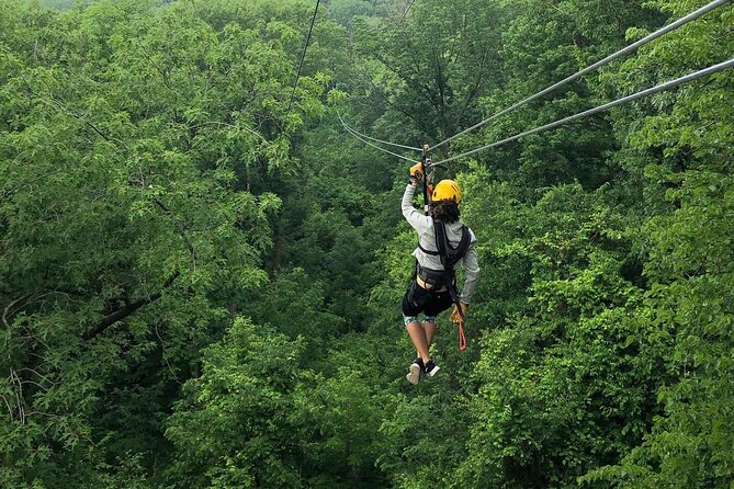 Zipline Adventure in Galena, Illinois - Key points at a glance
