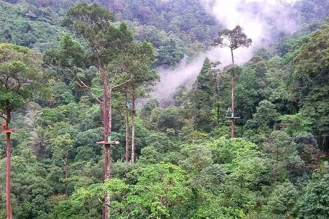 Zipline Adventure in KohSamui 10 Cables with Mountain & Sea Views - The suspension bridge and waterfall café