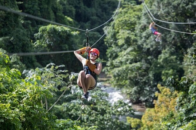 Zipline Adventure in Punta Cana – Thrilling Canopy Experience - Friendly staff make the height easier