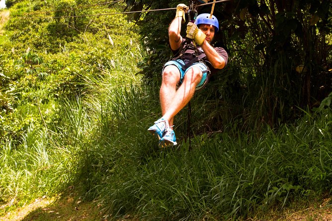 Zipline Adventure In The Rainforest - From Plaza Concordia to the rainforest