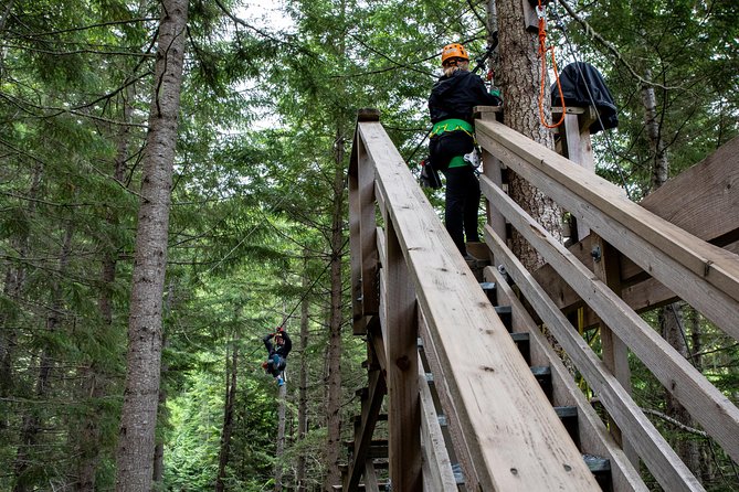 Zipline Adventure in Whistler - What the guides add to the experience