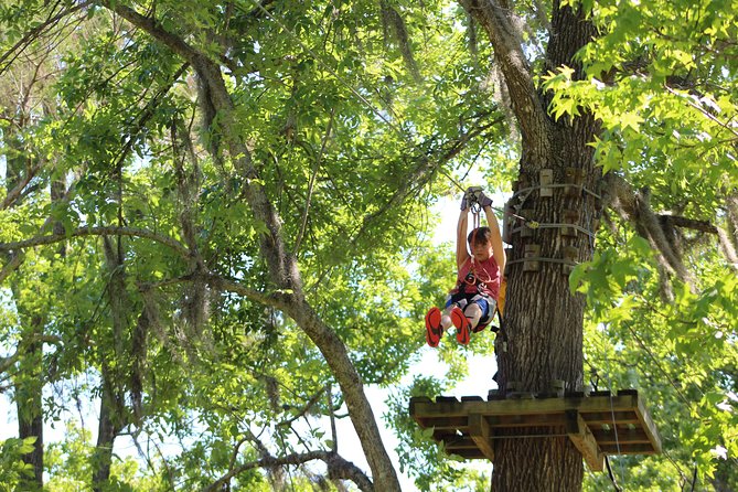Zipline Adventure through Tuscawilla Park - Height, waiting, and staff coverage are the main trade-offs