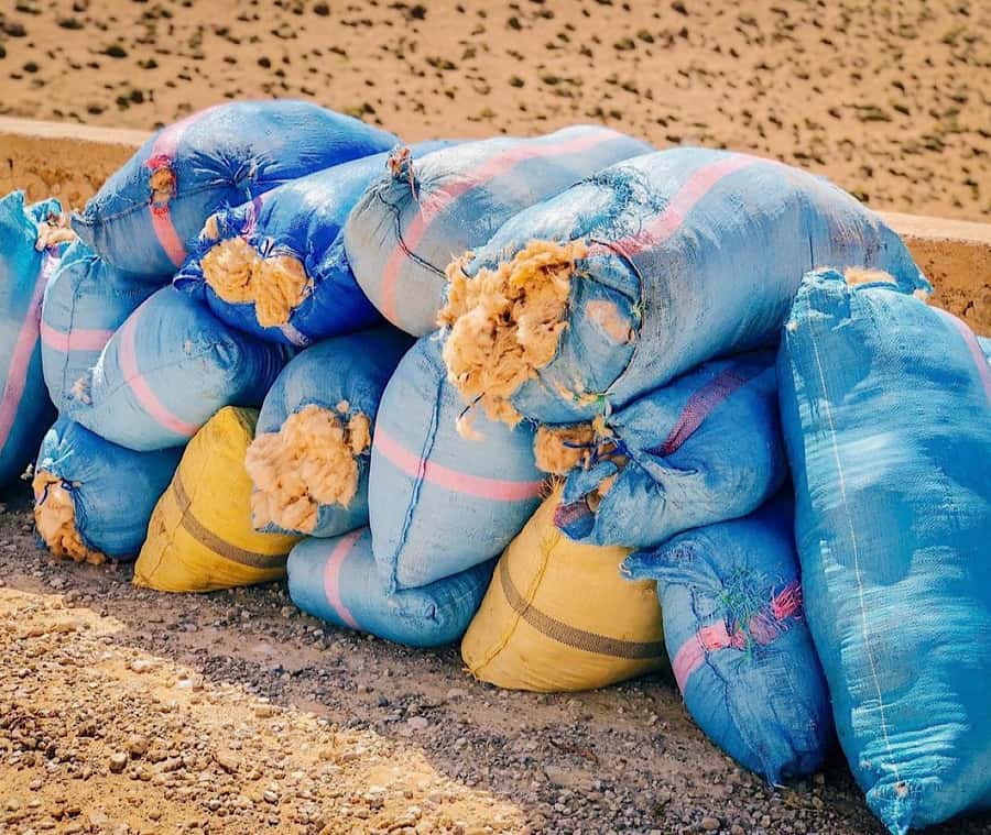 Zipline and Camel Adventures in Marrakech - The 40-minute camel ride in Al Haouz