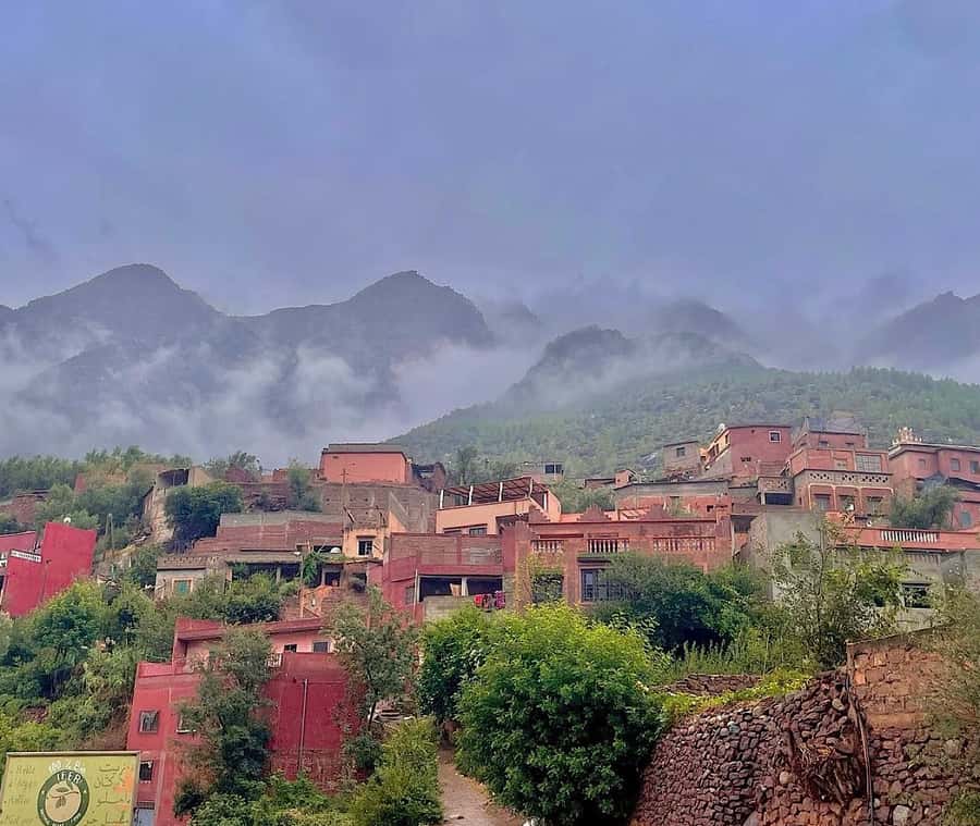 Zipline and Camel Adventures in Marrakech - What the $62 price really covers