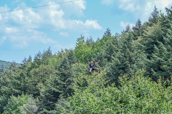 Zipline Canopy Activity Admission at Bristol Mountain - Key points at a glance