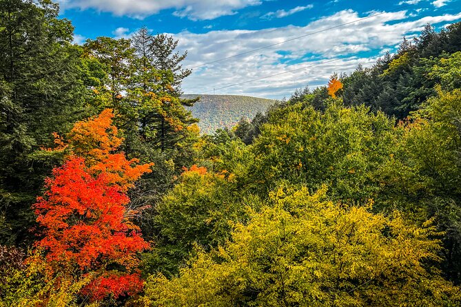 Zipline Canopy Activity Admission at Bristol Mountain - Is the price good value?