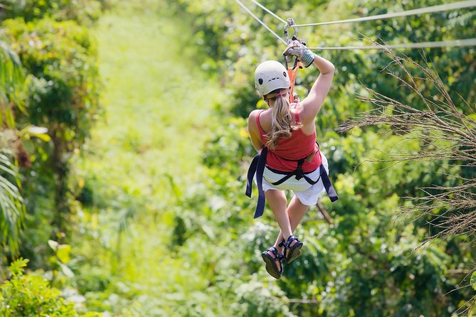 Zipline Canopy Tour & Tortuguero Canal Boat tour. Shore Excursion from Limon - Quick take: what matters most