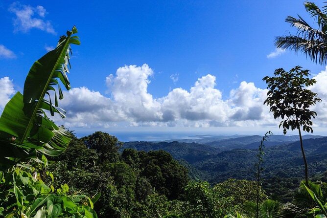 Zipline Canopy Tour with Transport from San Juan - How safe and family-friendly is it?