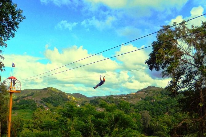 Zipline Canopy Tour with Transport from San Juan - Eight lines, with a gradual build