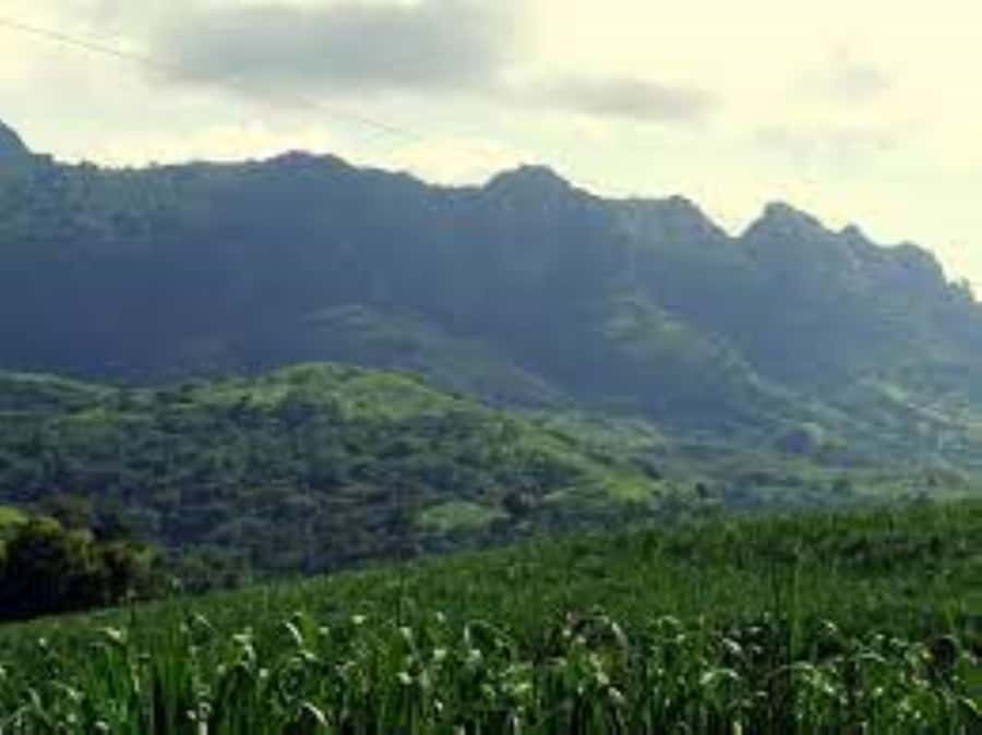 Zipline, Cave, Seaview & Mud Spa Tour with Lunch Included - The brief Viseisei pass-by