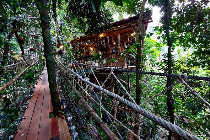 Zipline & Coffee with Waterfall Views in Koh Samui - Waterfall views, with a seasonal warning
