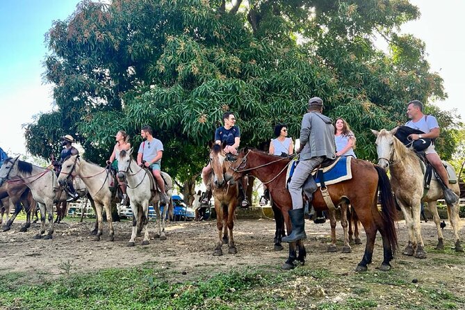 Zipline,Dune Buggy,Horse Riding - Dune buggies on rough trails and river crossings