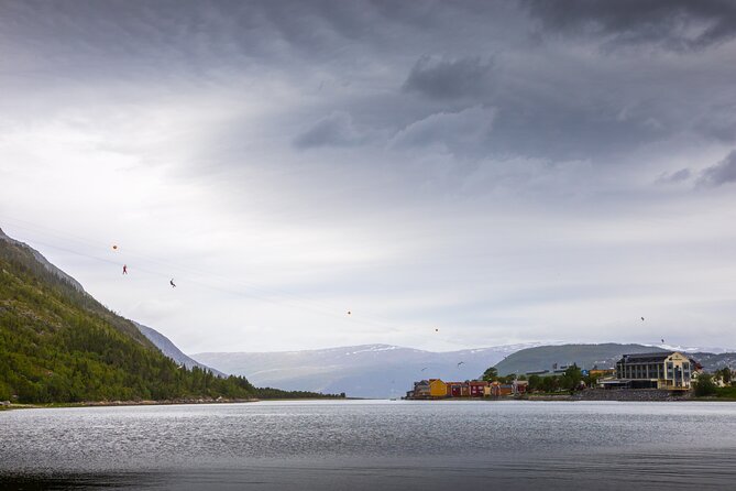 Zipline Experience in Mosjøen - Is the $83.94 price good value?