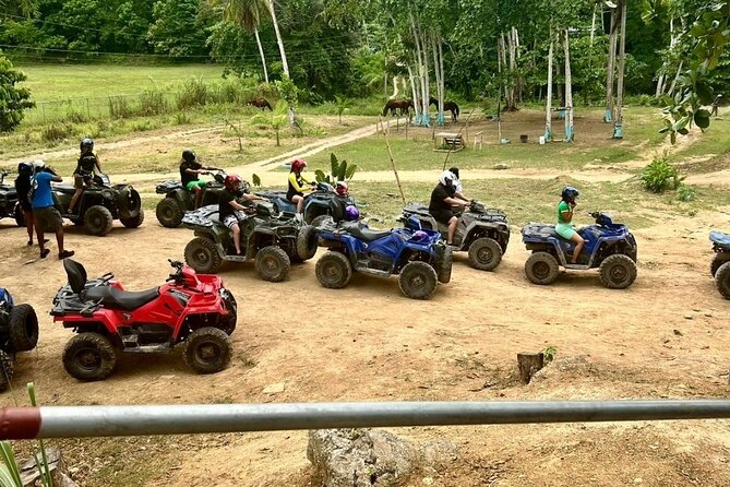 Zipline, Horseback Ride and Swim and Quad ATV bike in Negril - Who will enjoy this most