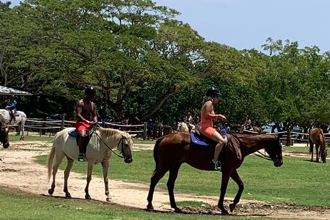 Zipline, Horseback Ride, ATV and Catamaran from Montego Bay - Four kinds of adventure in one Jamaican day