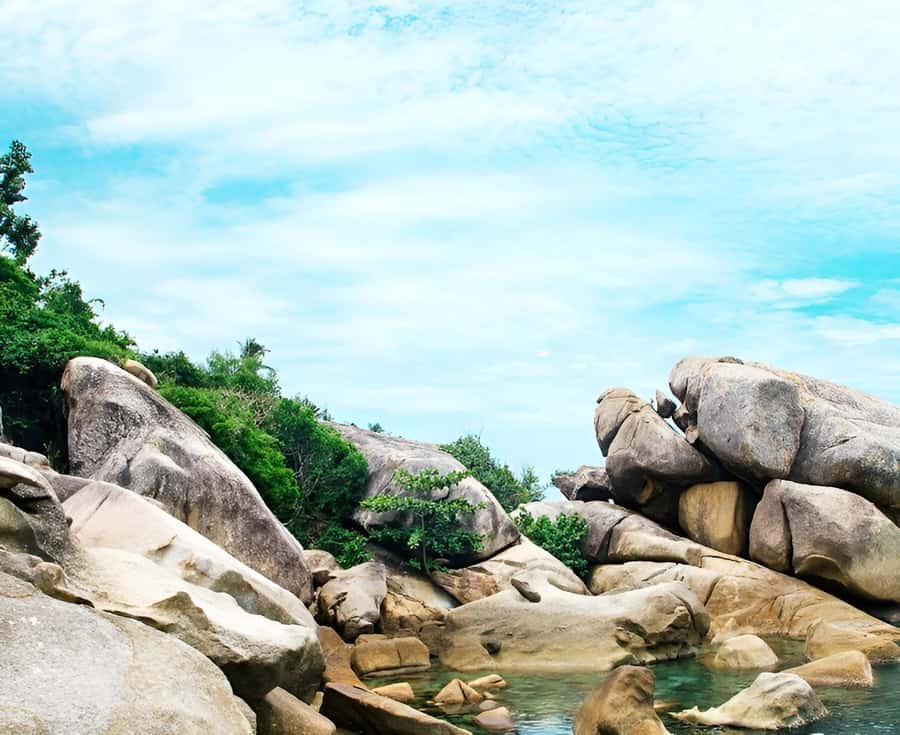 Zipline in Koh Samui Adventure activity tour - What the nine rides feel like in practice