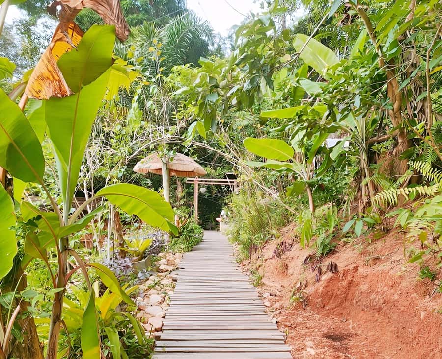 Zipline in Koh Samui Adventure activity tour - Children can ride, but age rules matter