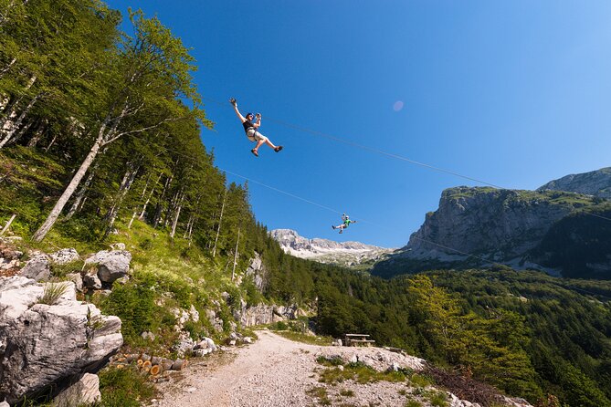Zipline in Slovenia - Is $71.48 a fair price?