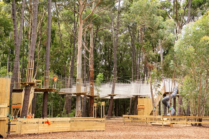 Zipline over the Heysen Trail & Through the Pines of Kuitpo - What happens during the two-hour session