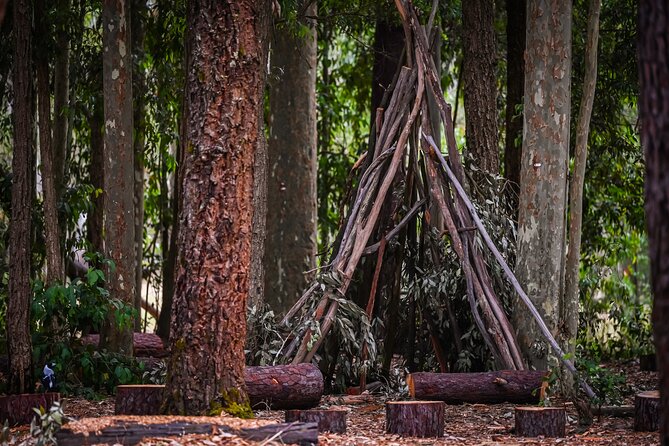 Zipline over the Heysen Trail & Through the Pines of Kuitpo - Making a full day of Kuitpo Forest