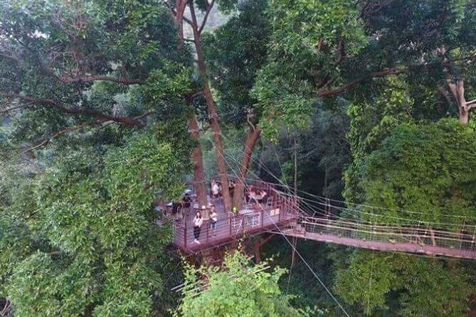 Zipline Ride on Koh Samui - Morning or Afternoon: Which Departure Makes Sense?