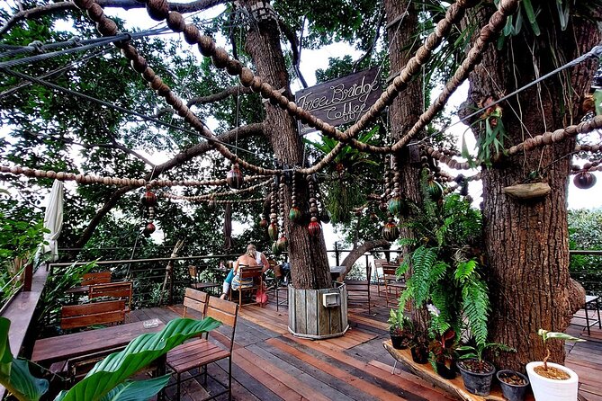 Zipline Ride on Koh Samui - Hotel Pickup Is Helpful, With One Important Catch