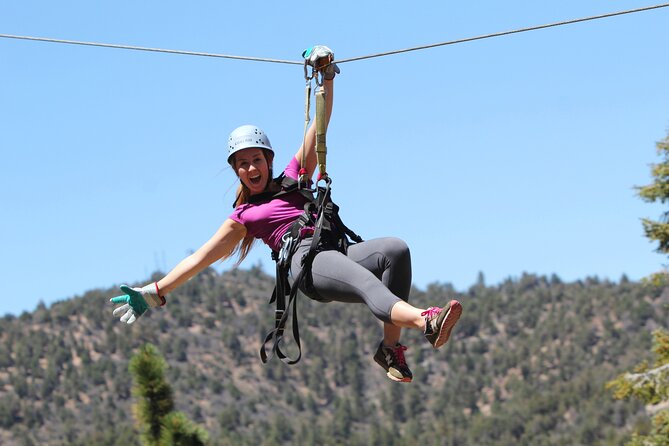 Zipline Tour - 9 high-speed ziplines & fun suspension bridge - Five things to know before you book