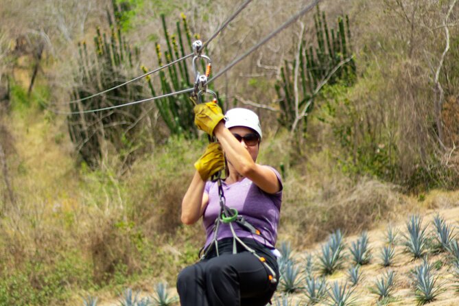 Ziplines and mezcal tasting - Who will enjoy this most?