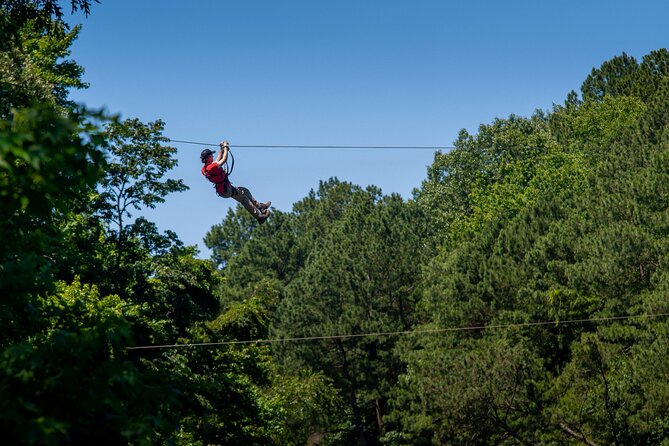 Ziplining and Climbing at The Adventure Park at Virginia Aquarium - Key points to know before you climb