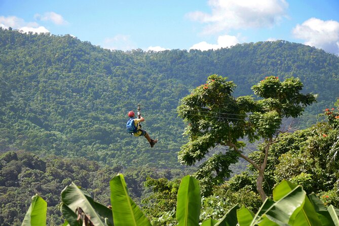 Ziplining at the Rainforest in Puerto Rico - Five ziplines in Luquillo rainforest