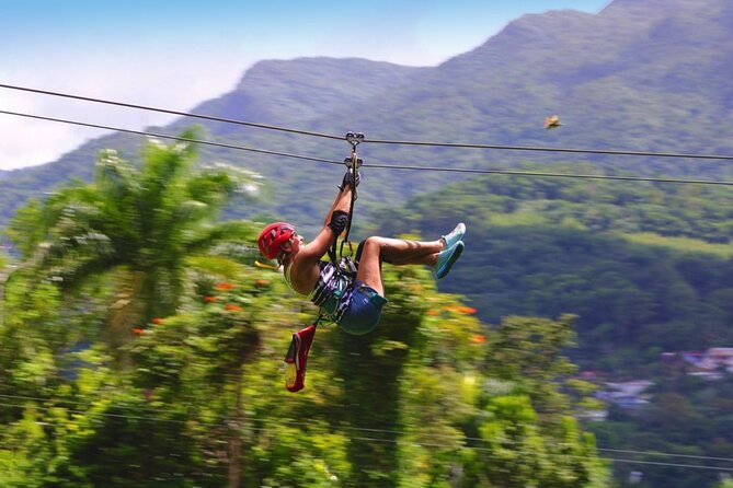 Ziplining at the Rainforest in Puerto Rico - A private estate instead of a large park