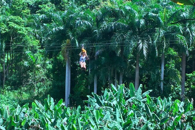 Ziplining at the Rainforest in Puerto Rico - Is $149 a fair price?