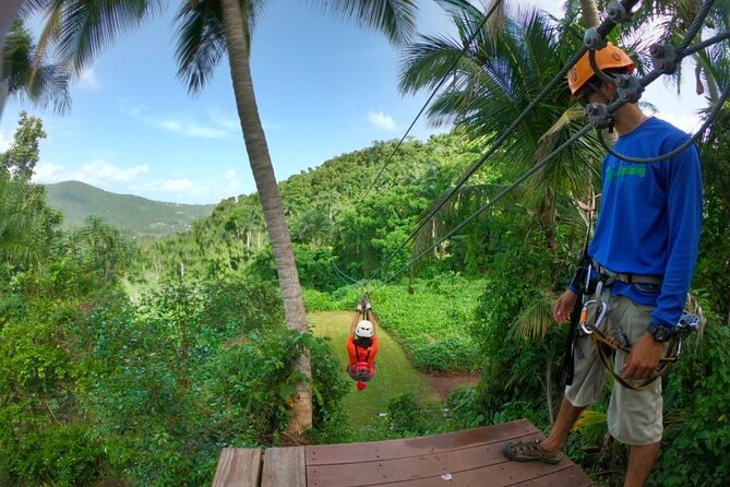 Ziplining at the Rainforest in Puerto Rico - Choosing the morning or afternoon session