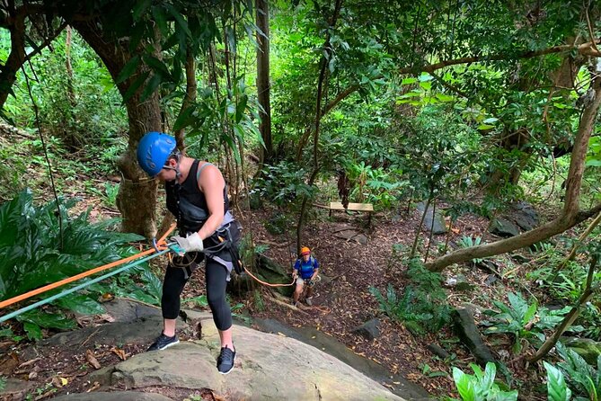 Ziplining at the Rainforest in Puerto Rico - What to bring and what not to expect