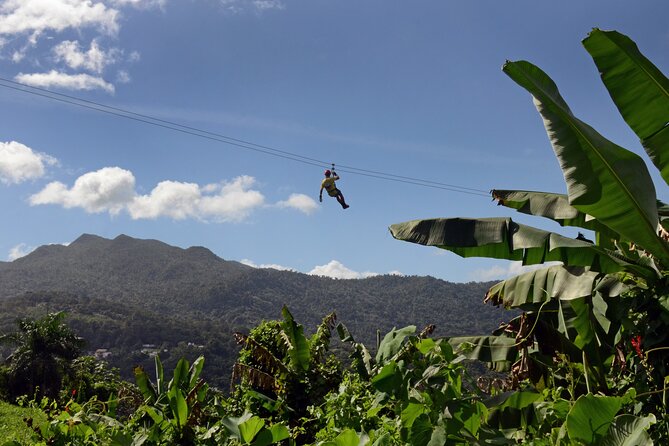Ziplining at the Rainforest in Puerto Rico - Why the guides matter here